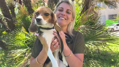Un chien au chevet des patients au centre Antoine Lacassagne