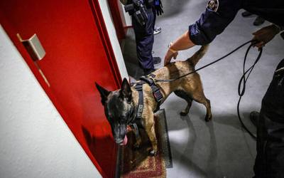 Saisie de cannabis à Ivry grâce au flair d'un chien policier