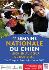 Le chien au cœur de nos vies