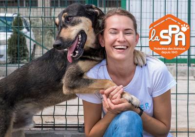 Ouverture d'un spa pour chiens dans les Ardennes