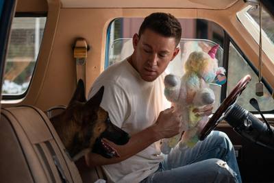 Préférer son chien aux humains : une analyse psychologique