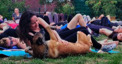 Pilates avec des chiens à Mulhouse