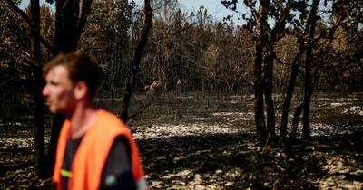Risques de nouveaux incendies dans le Sud-Ouest de la France
