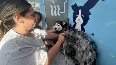 Tir sur un propriétaire de chien