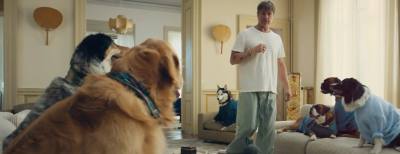 Brad Pitt se fait malmener par des chiens pour De’Longhi