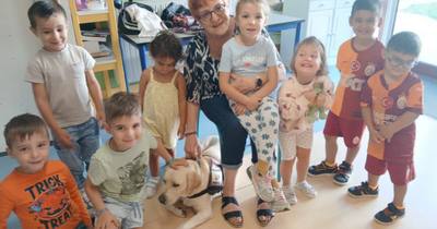 L'aide des chiens pour la séparation au périscolaire à Vézelise