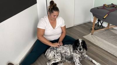 Une masseuse prend soin des chiens, des chevaux et de leurs maîtres à Saint-Malo