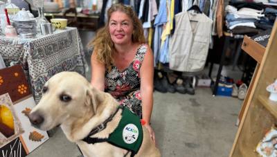 Brocantes solidaires pour les chiens d'assistance aux enfants diabétiques