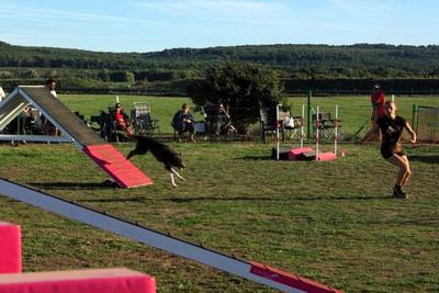 Concours canin hors-norme dans l'Eure