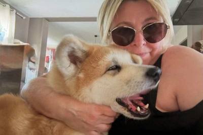Journée dédiée aux chiens en Lot-et-Garonne