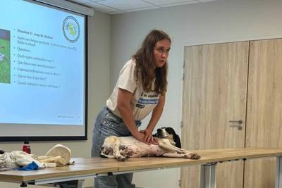 Formation de sauvetage pour les chiens de chasse