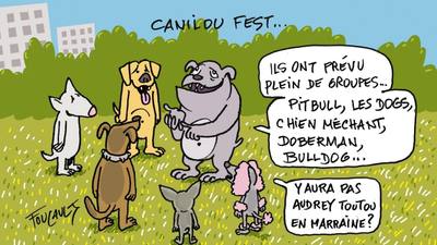 Un festival humoristique sur l'actualité choletaise