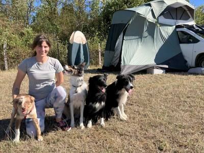 Affrontements de chiens de troupeaux à Foulcrey