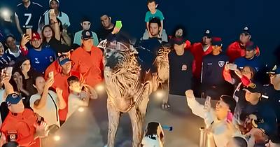 Hommage au chien héros Tsunami au Venezuela