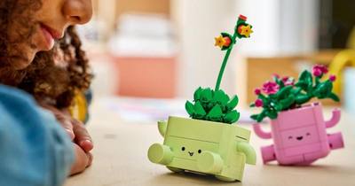 LEGO Botanicals : des petites plantes dansantes pour la déco