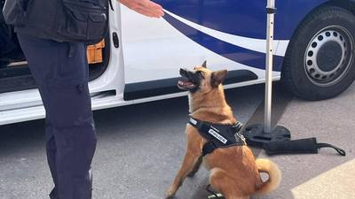 Saisie d'héroïne grâce au flair d'un chien