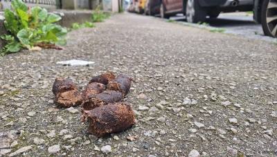 Tir à Orvault pour une histoire de crotte de chien