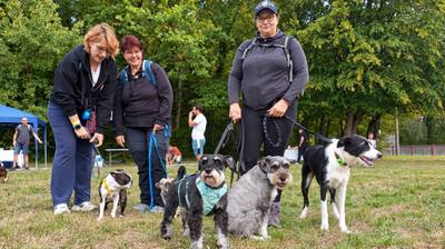 Premier Festival animalier à Rédange