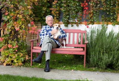 Les animaux de compagnie comme des enfants