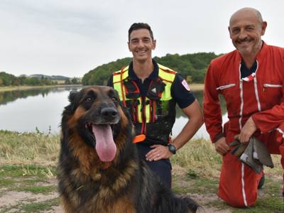 Torcy : Le chien Redka aide à retrouver un enfant