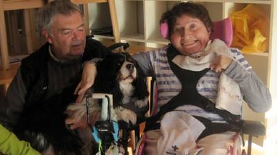 Recherche de familles d'accueil pour Handi'chiens en Normandie