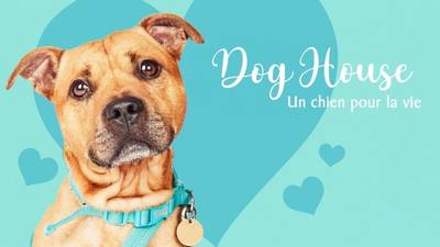 Dog House : un chien pour la vie, L'évasion S05