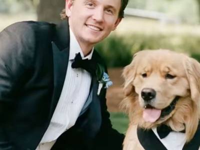 Mariage : un Golden Retriever vole la vedette aux mariés