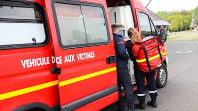 Morsure de chien dans les Deux-Sèvres : conséquences juridiques