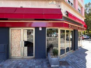 Des clubs canins pour former des athlètes à quatre pattes