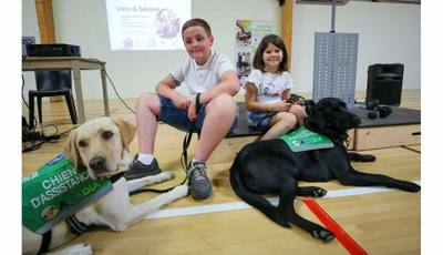 Recherche de familles d'accueil pour chiens d'assistance