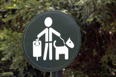 Identification ADN pour lutter contre les déjections canines