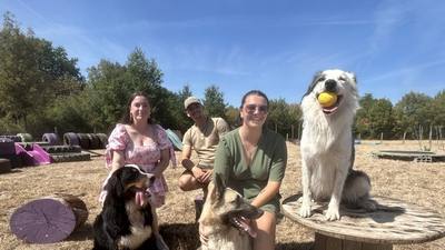 Festival 100 % chiens à Maville Angers