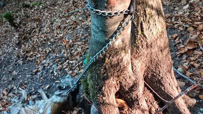 Colère en Haute-Savoie suite à la mort d'un chien attaché