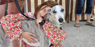 Exposition canine en Dordogne : protection contre la chaleur