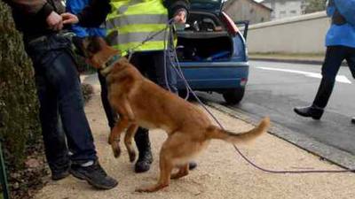Cinquante chiens au travail pour le Challenge Inter Unités de Blois
