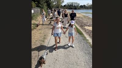 La grande balade des chiens saucisses à Vannes