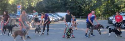 Course avec chien à Château-Thébaud