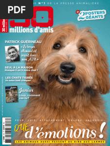 Don massif de croquettes pour un refuge sarthois