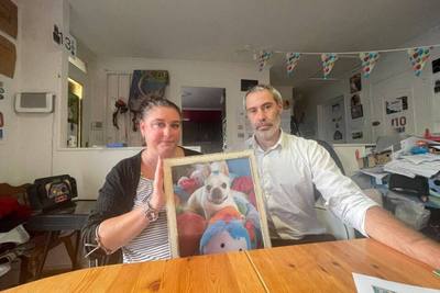 Perte d'une urne funéraire de chien en Seine-et-Marne