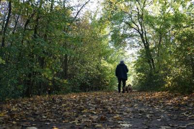 Amende pour promenade canne sur un plateau près de Dijon