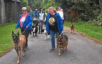Ouverture du club Breizh activités et sports canins