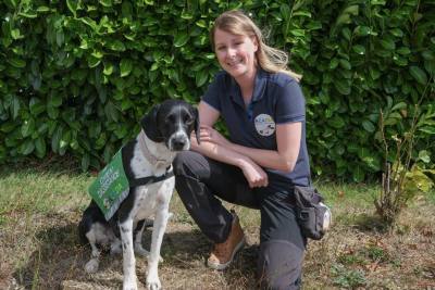 Formation de chiens pour détecter le diabète près de Vitré