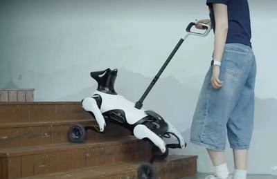 Apparition des premiers chiens-robots pour aveugles en Chine