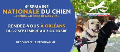 La semaine du chien à Orléans