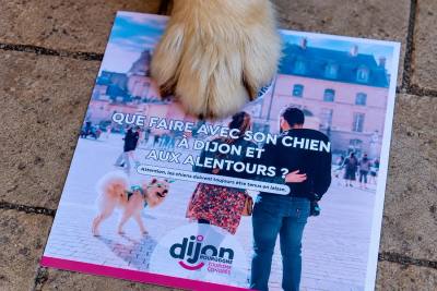 La Semaine Nationale du Chien à Dijon