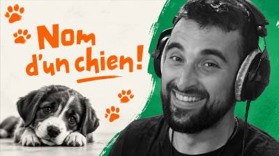 Adopter un chiot : par où commencer ?