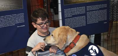 Pastelle, un chien d'assistance dévoué en Charente-Maritime