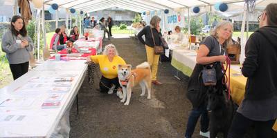 Vianne : une journée dédiée aux chiens et à leurs maîtres