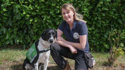 Formation de chiens pour la détection du diabète