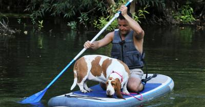 Le chien dans tous ses états à Thionville et Yutz